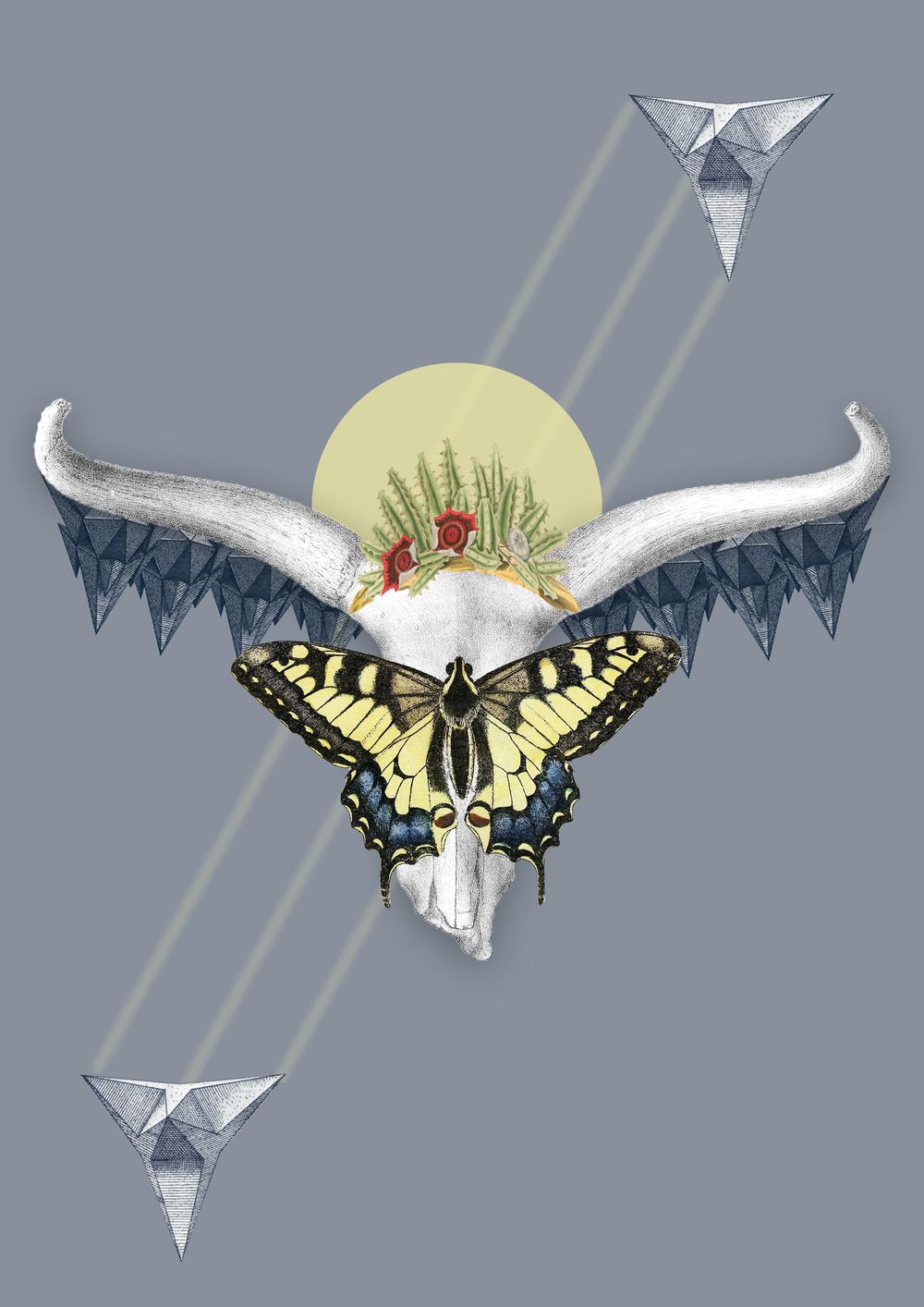 _ - image 2 - student project