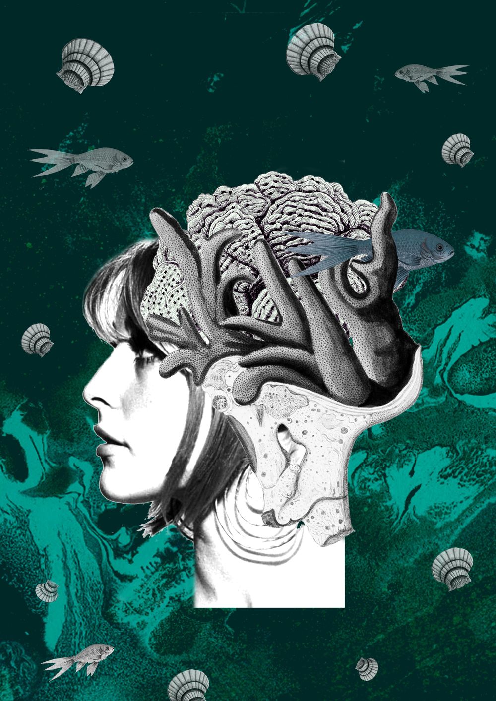 _ - image 1 - student project