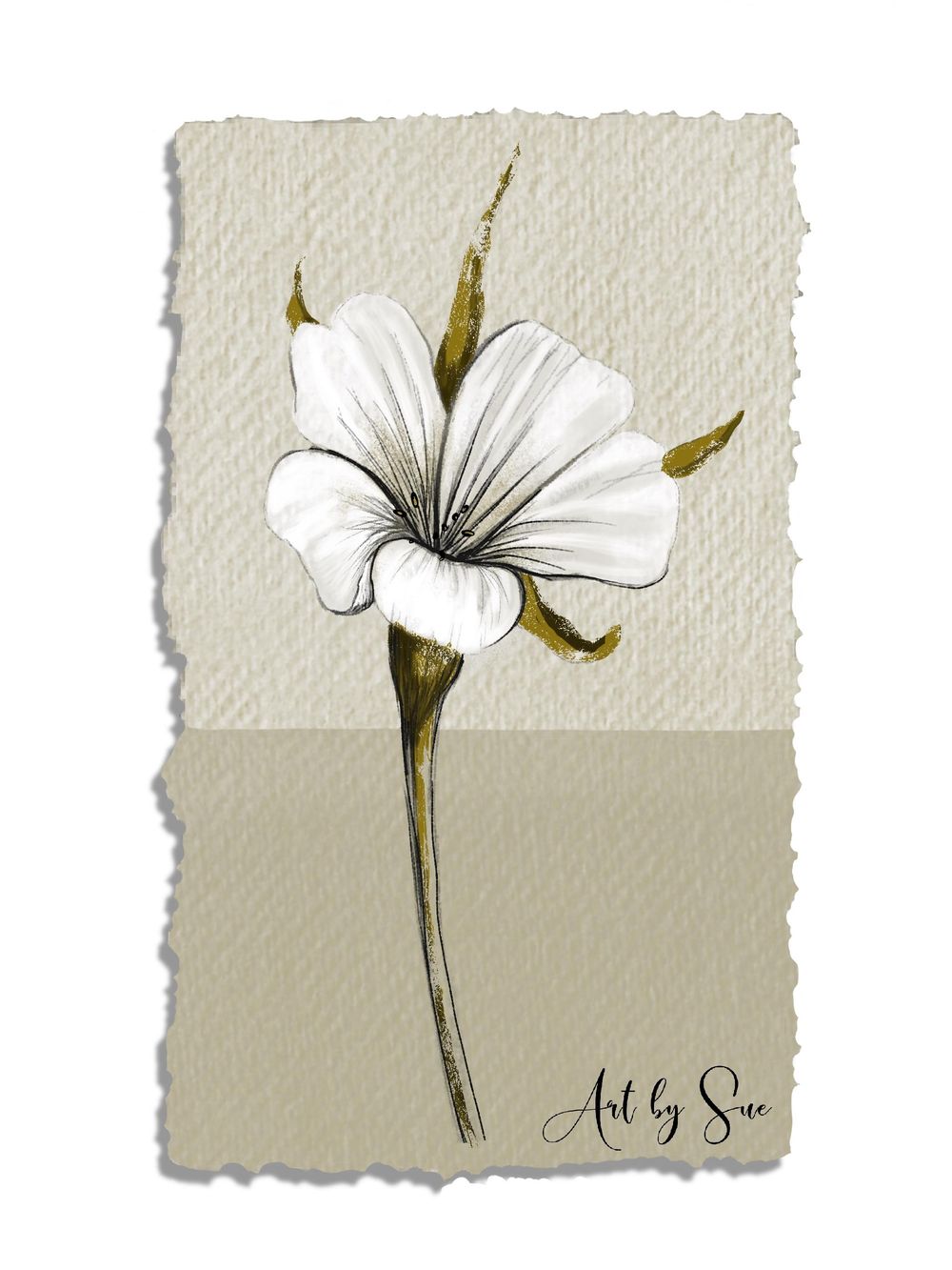 Botanical sketch all in Procreate - image 1 - student project