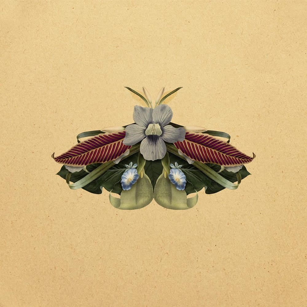 Botanical Creatures - image 3 - student project
