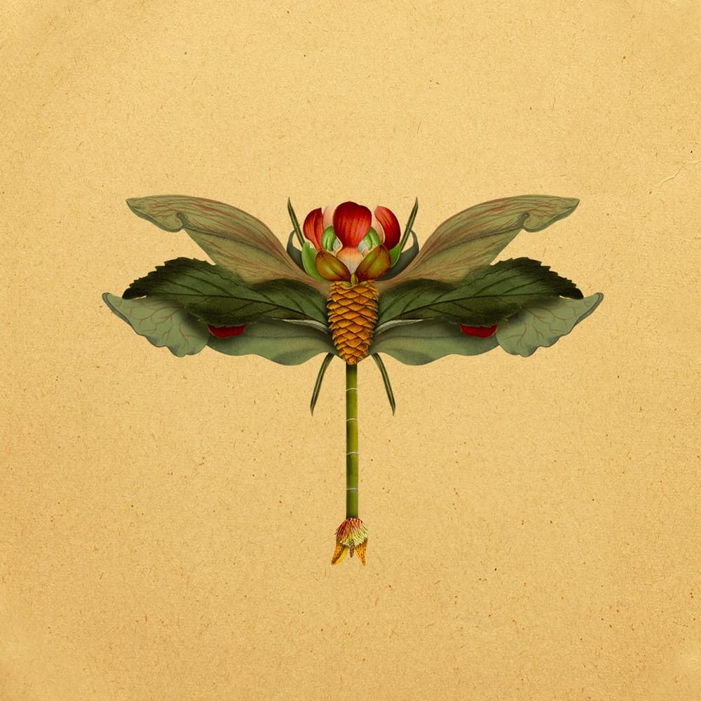 Botanical Creatures - image 1 - student project