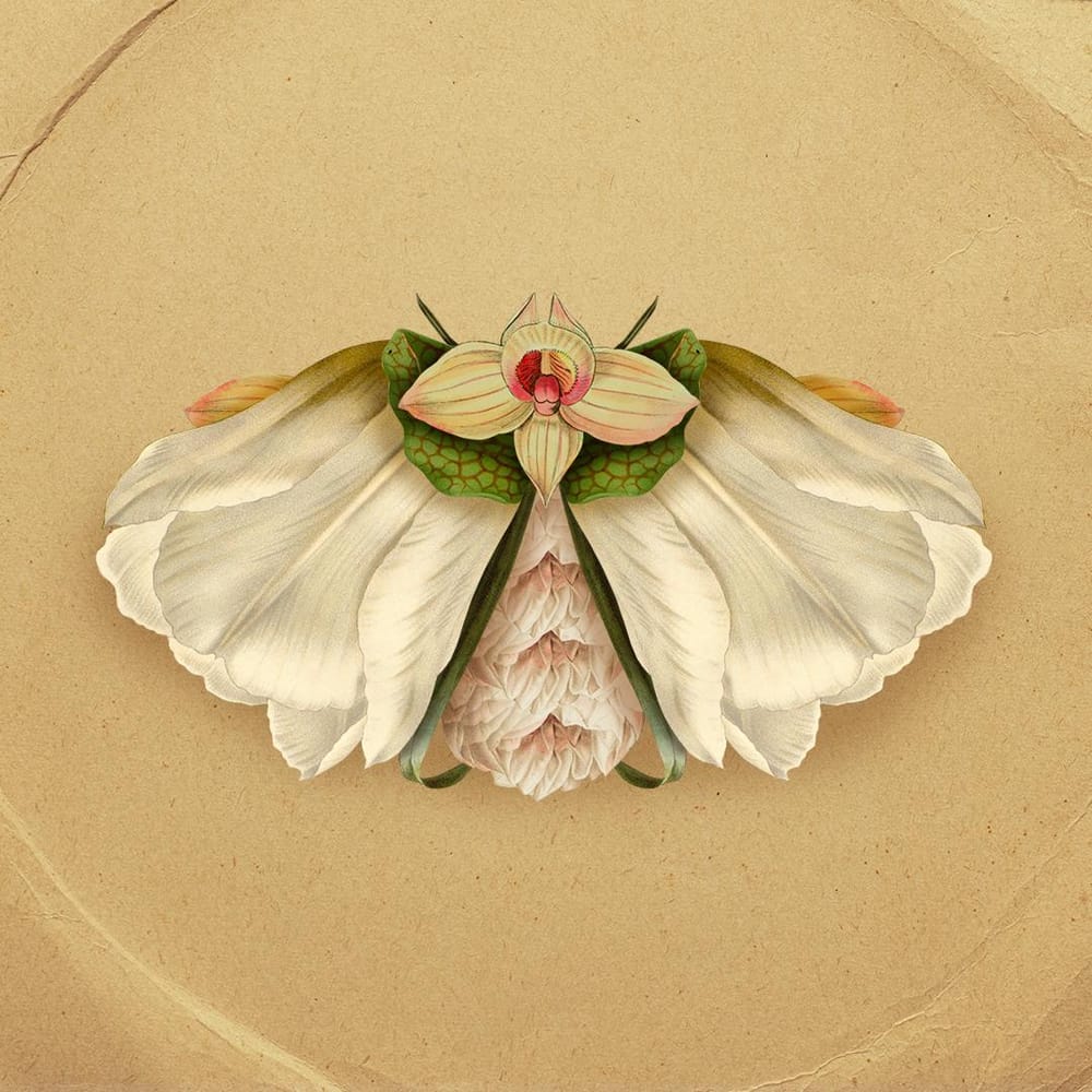 Botanical Creatures - image 2 - student project