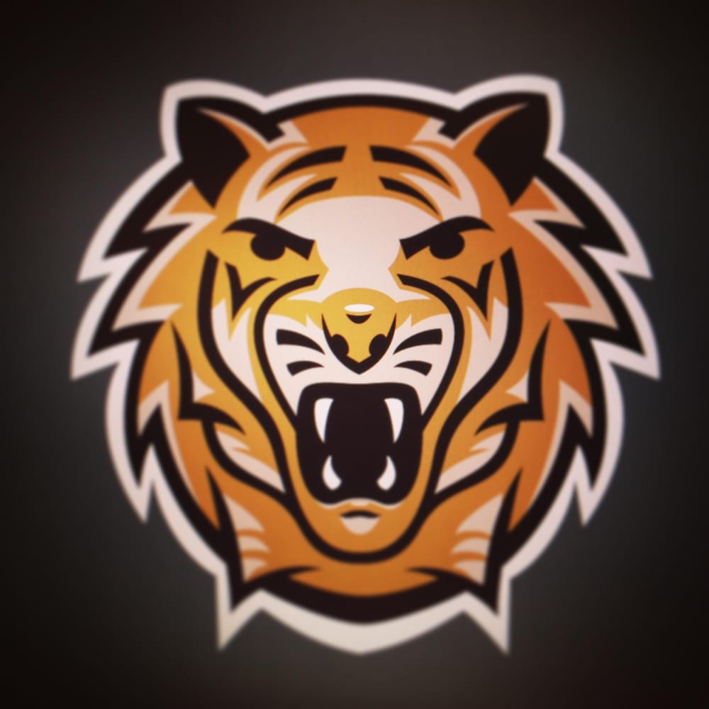 Tiger's Logo - image 5 - student project