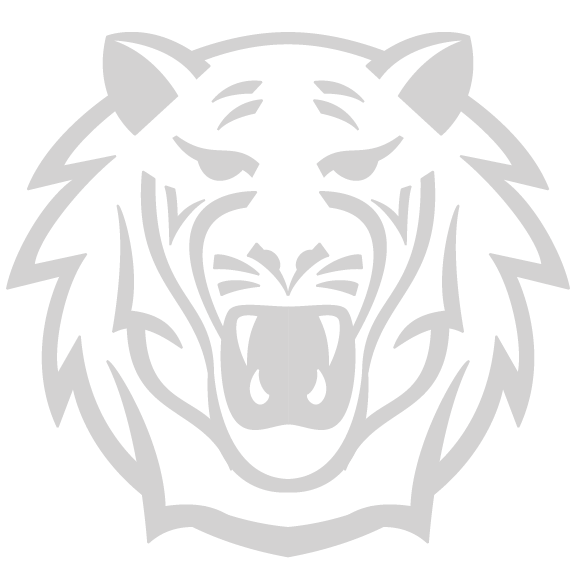 Tiger's Logo - image 3 - student project