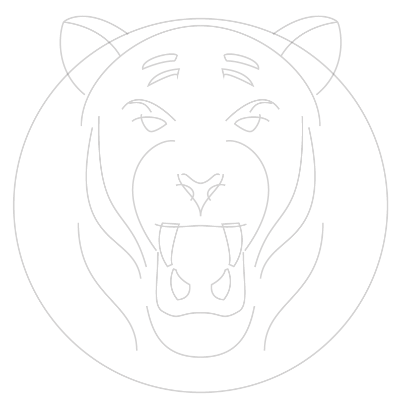 Tiger's Logo - image 2 - student project