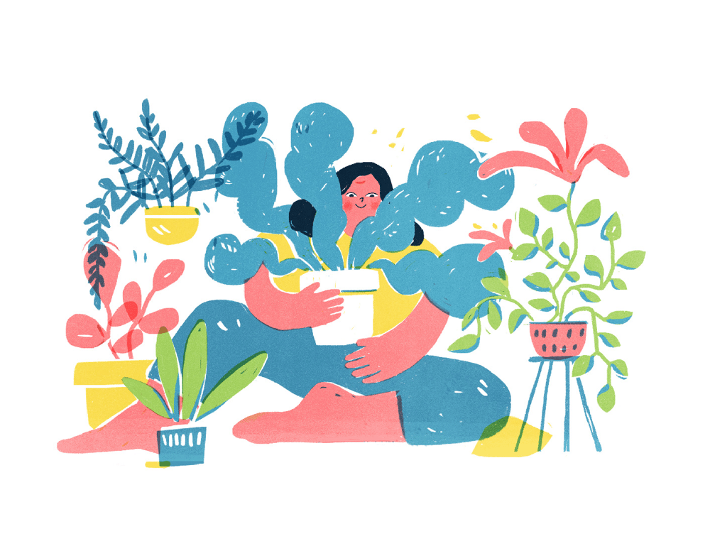 Plant care tips - image 2 - student project