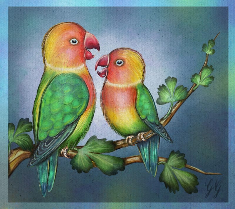 Lovebirds