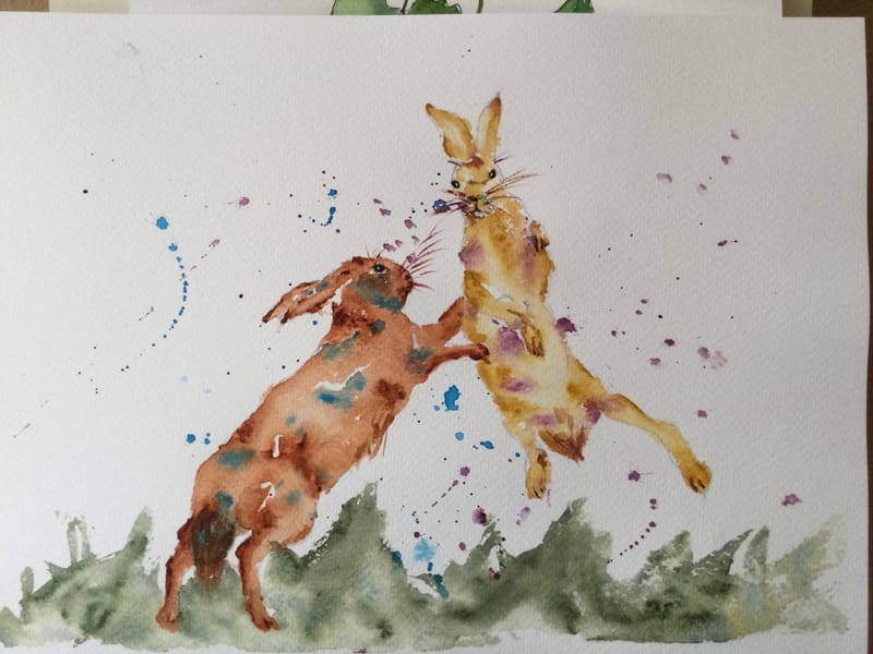 Feisty Hares