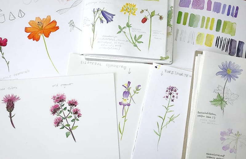 Sketching Wildflowers!