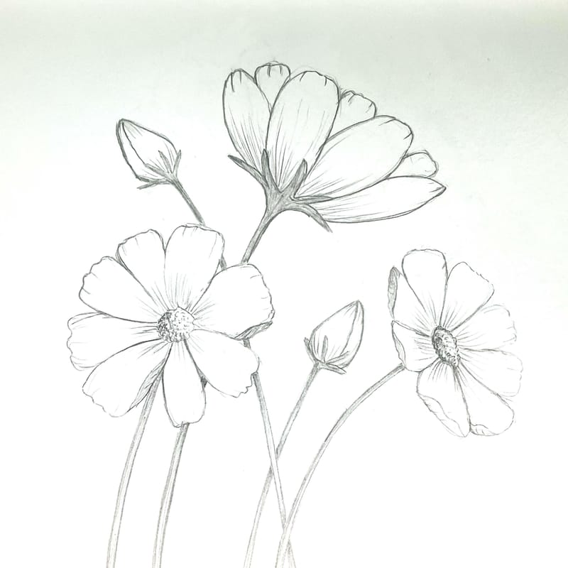 My flowers