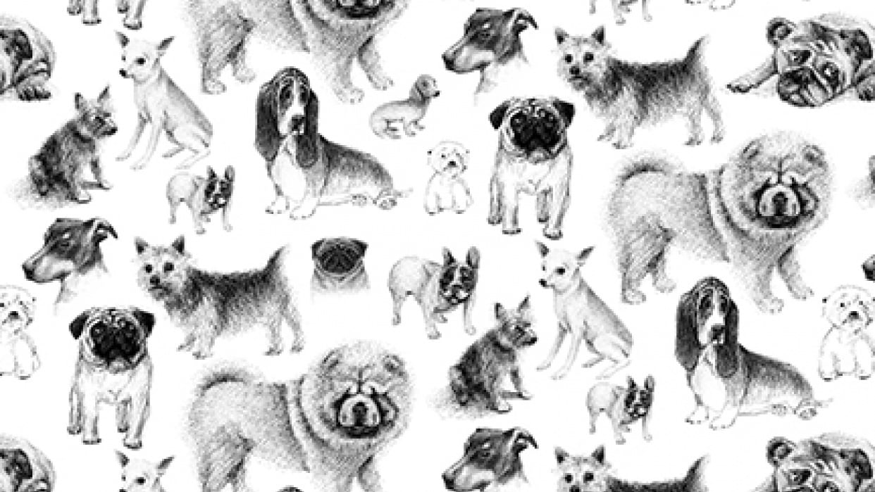 Doggie Pattern - student project