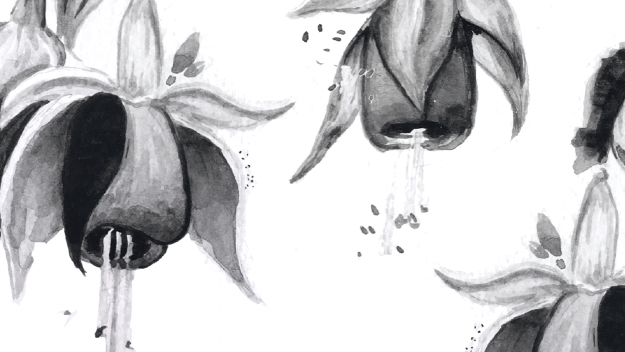 Flowers from Perú - student project