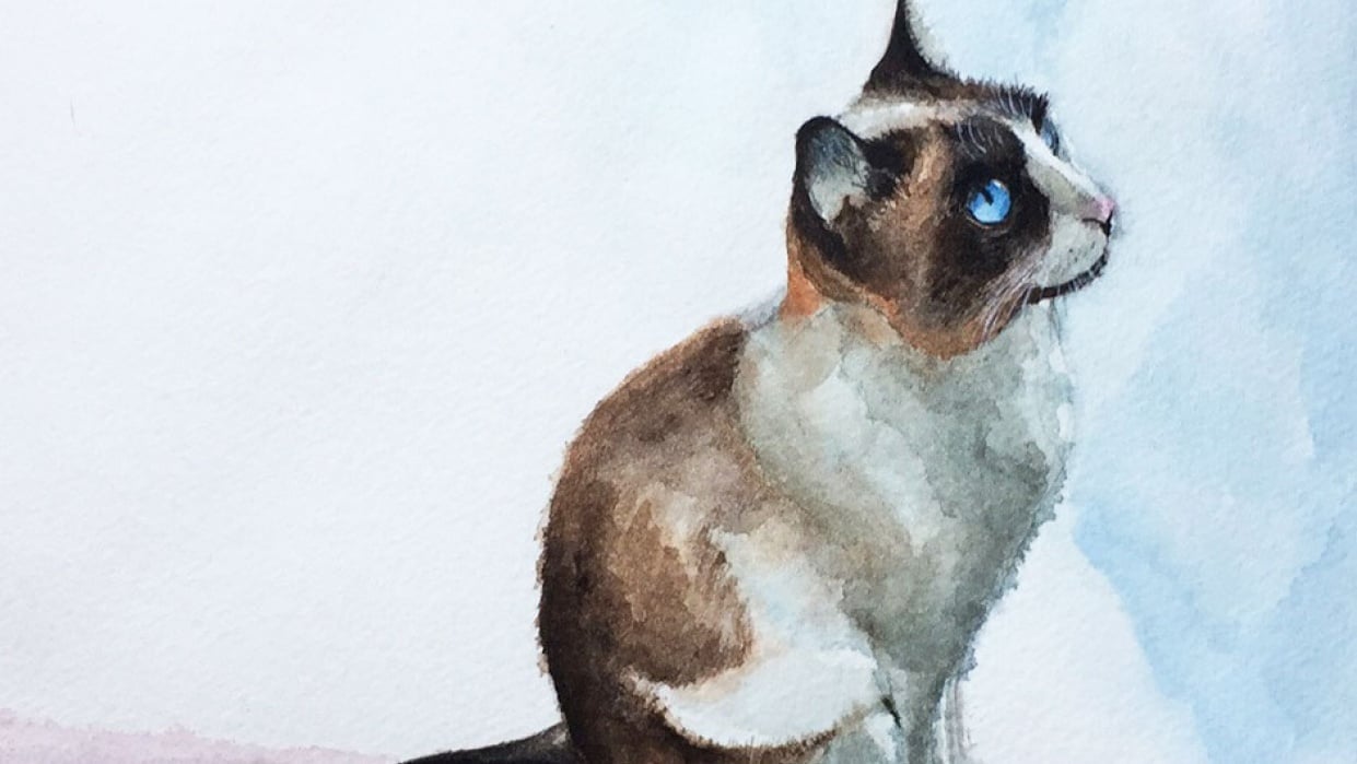 Watercolour cat - student project