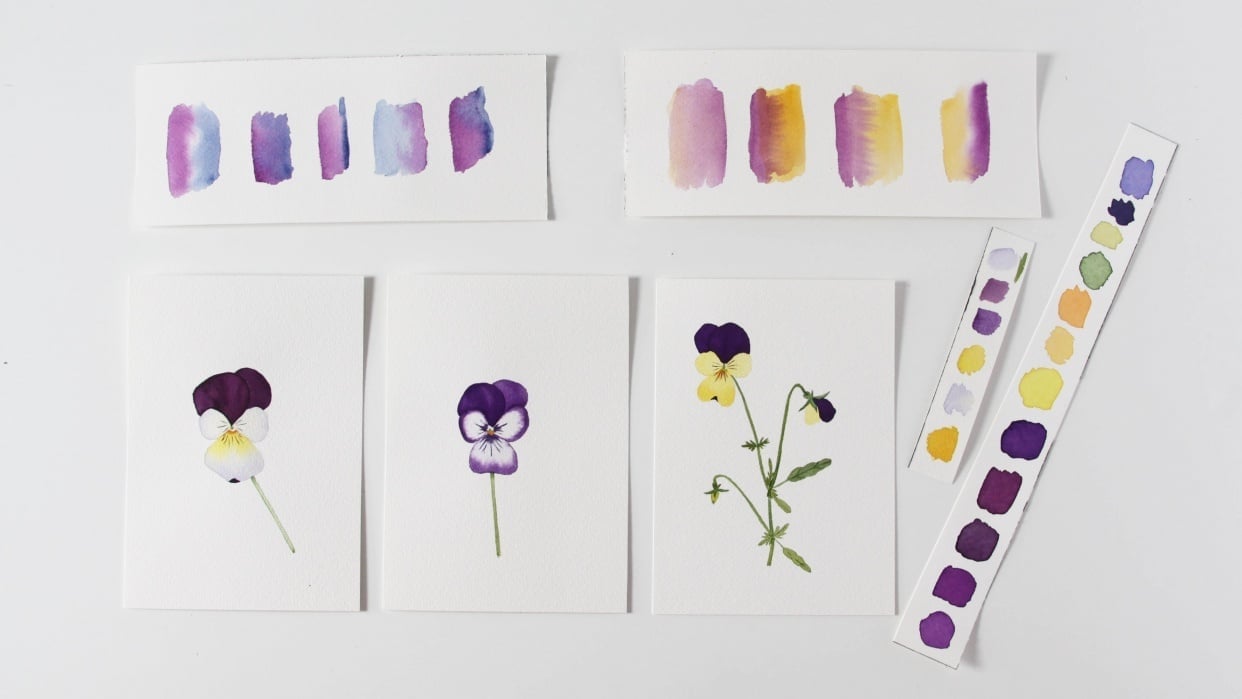 Sample Violas and Color Swatches - student project