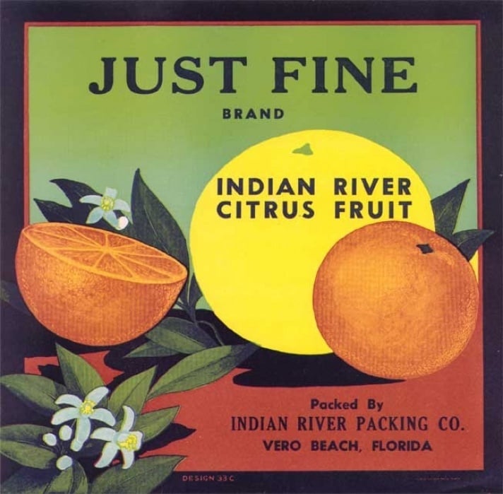 Citrus - student project