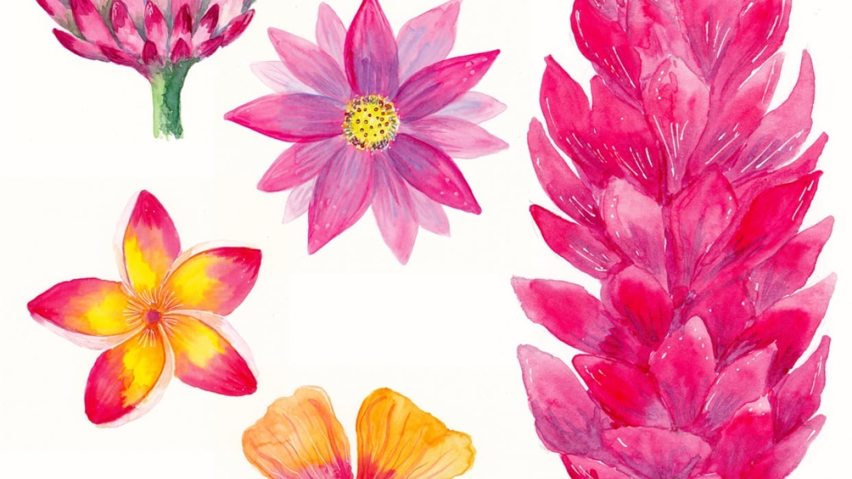 Tropical flowers - student project