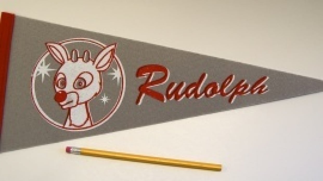 hook and loop pennants Skillshare Student Project