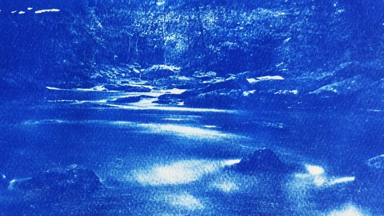 Cyanotype Class Project - student project