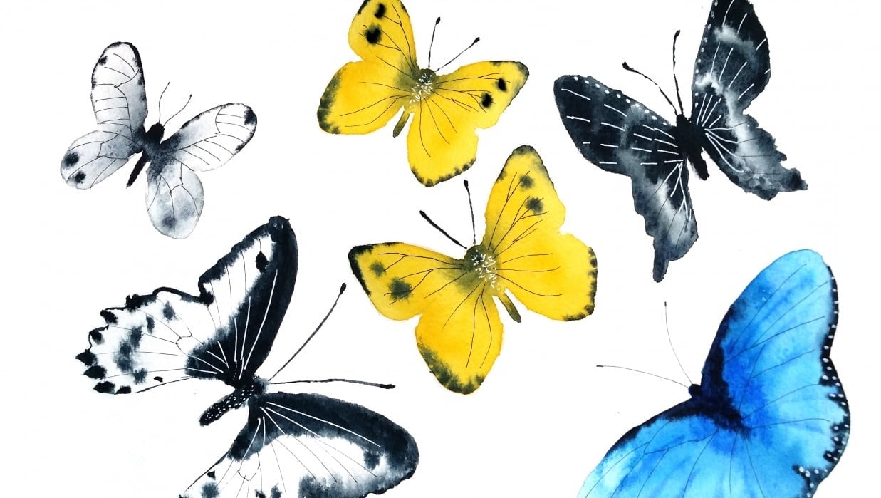 Butterflies with Olga - student project