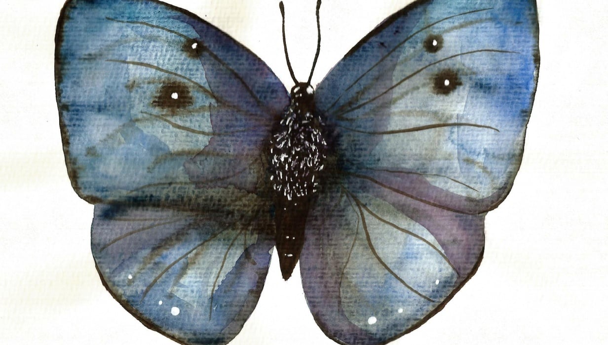 My butterflies :) - student project
