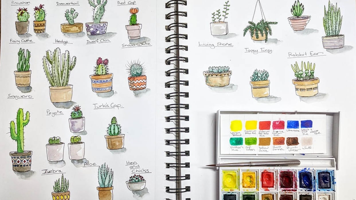 Cacti and watercolour practice - student project