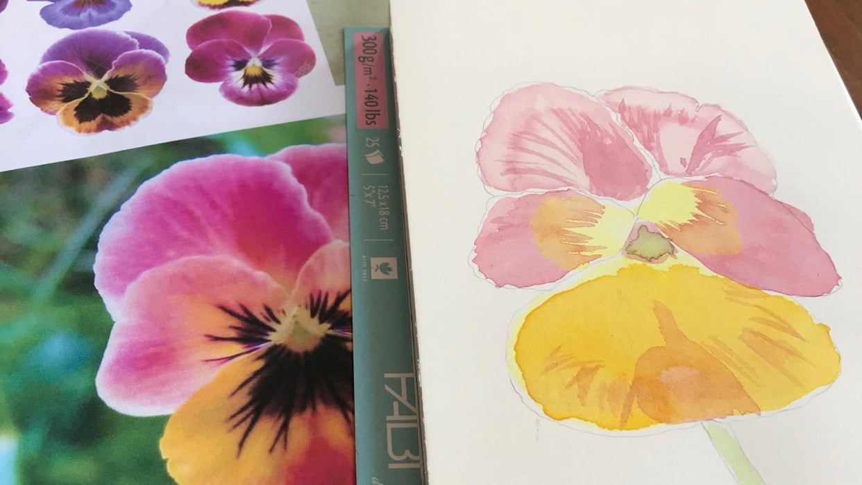 Viola - student project