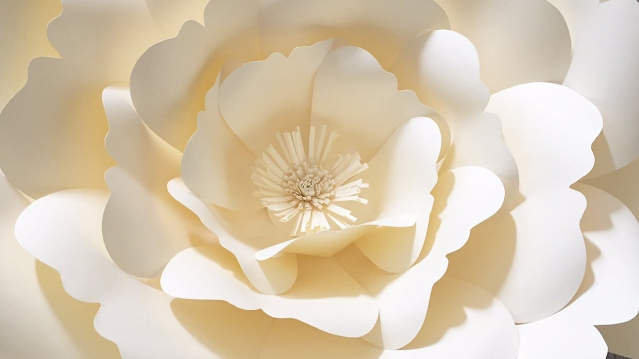 Crafting a Paper Flower - student project