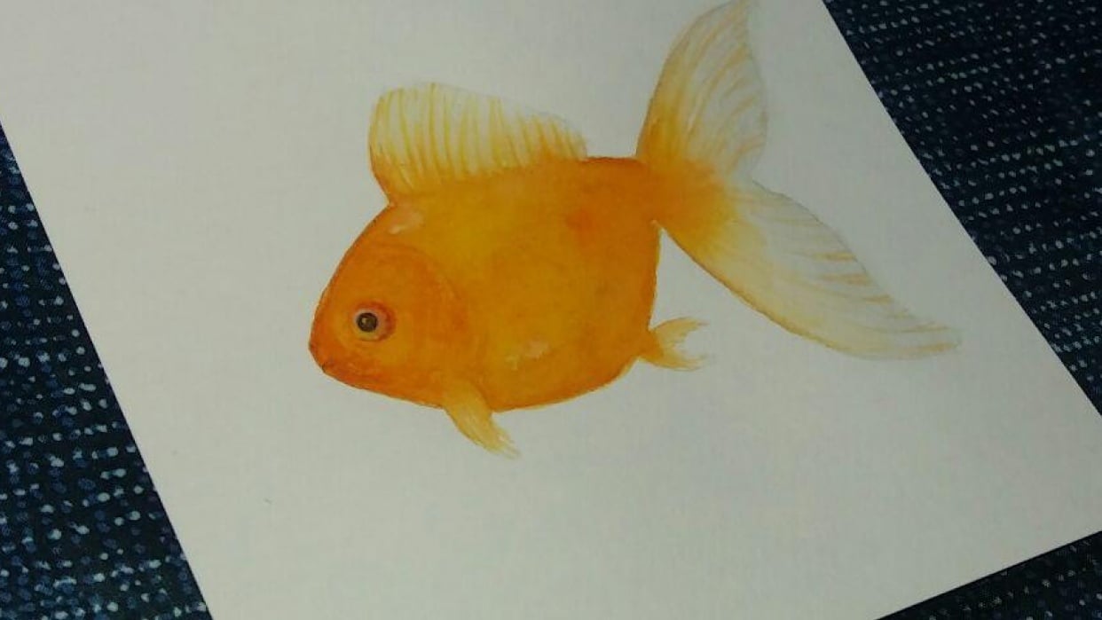 Ian the goldfish - student project