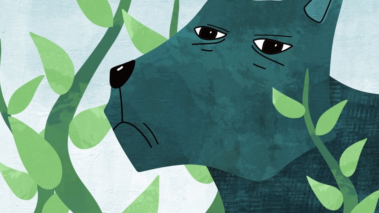 The green dog. - student project