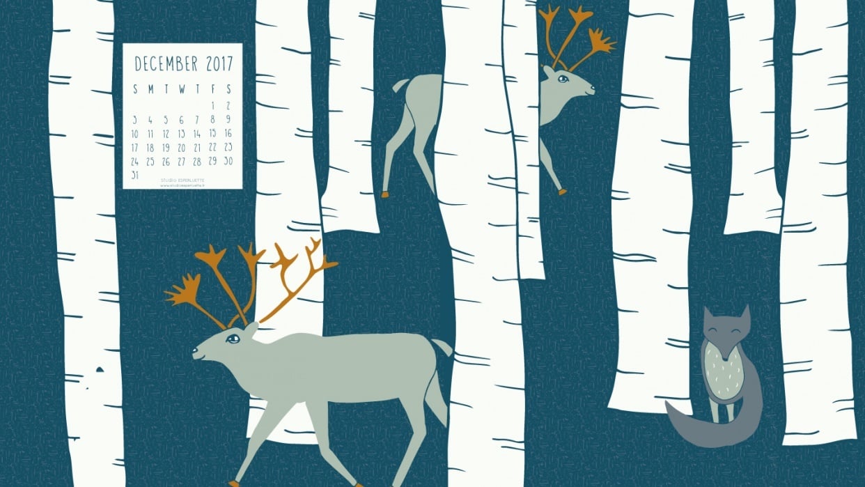 December Calendar - student project