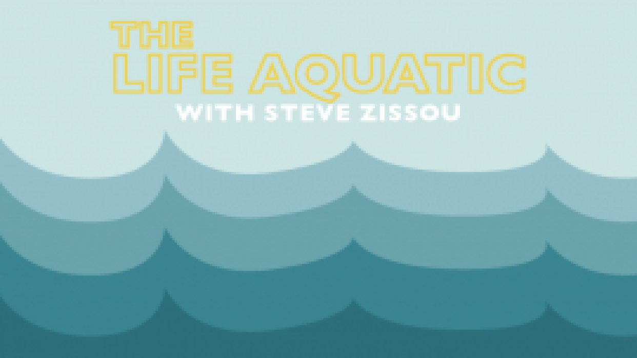 Life aquatic | Skillshare Student Project
