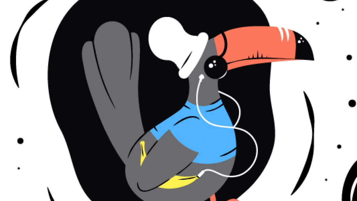 Hipster Toucan - student project