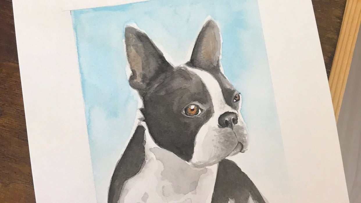 Boston Terrier Portrait - student project