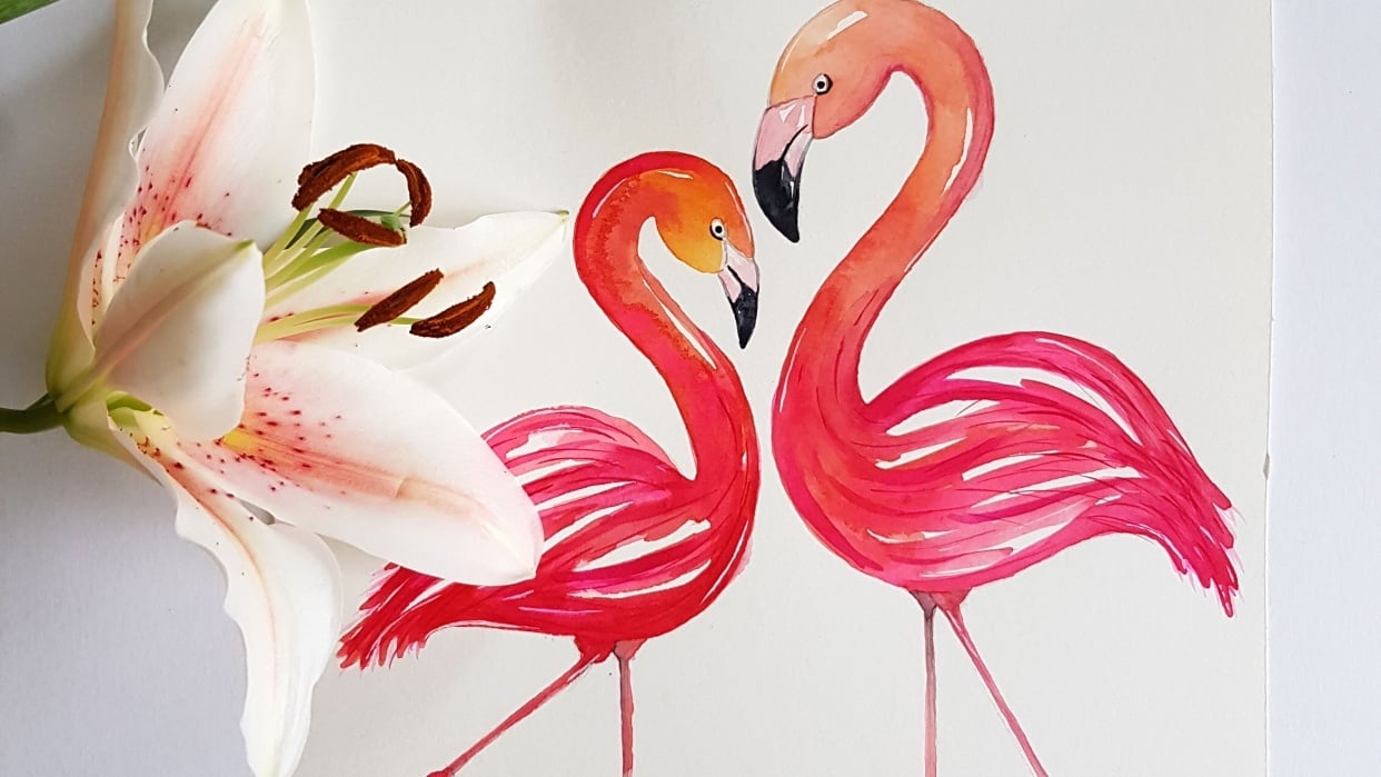 Flamingo Love - student project