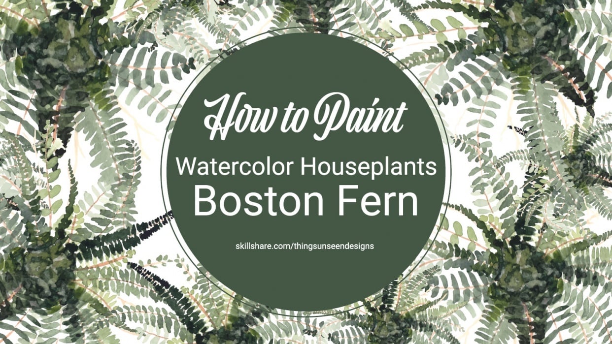Boston Fern plant project - student project