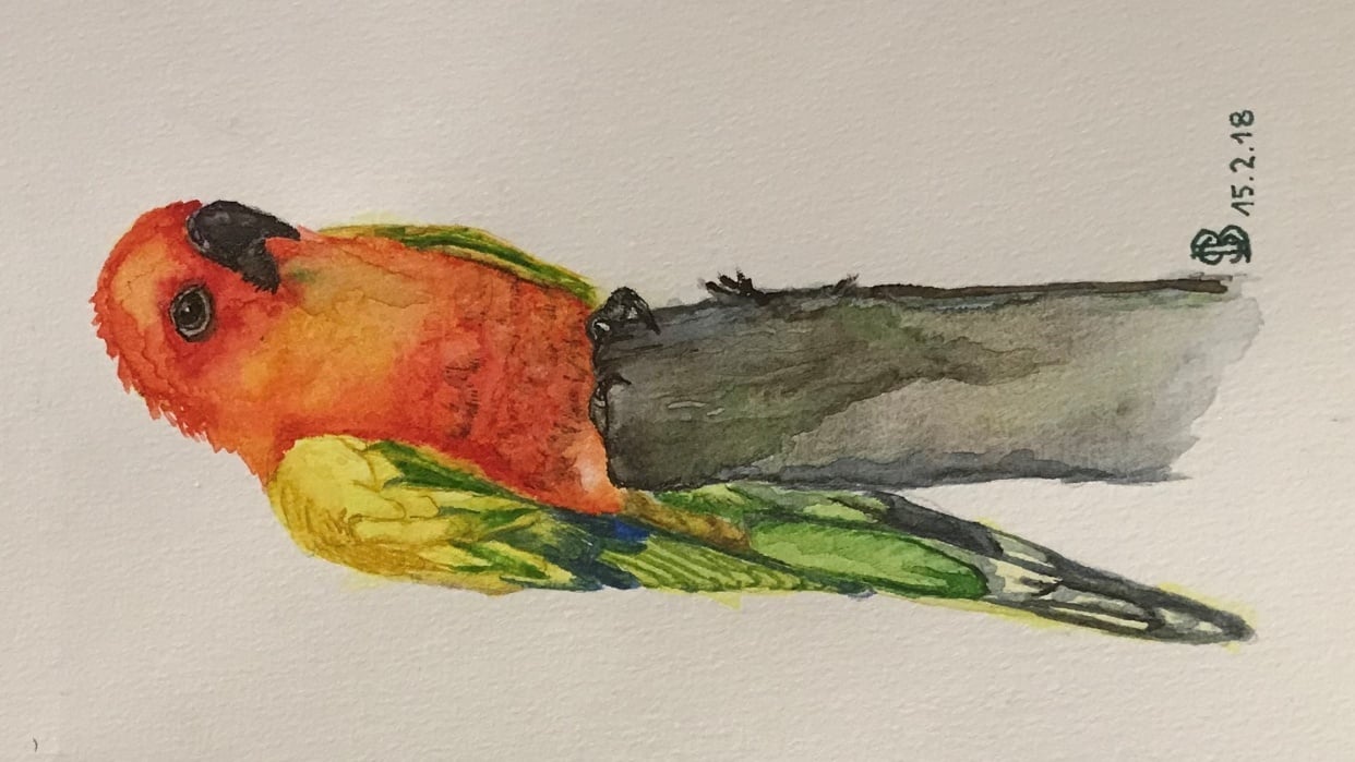 Parrot - student project