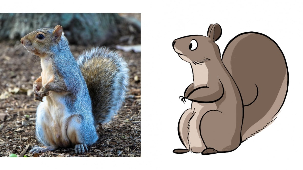 My Cute Little Squirrel! - student project