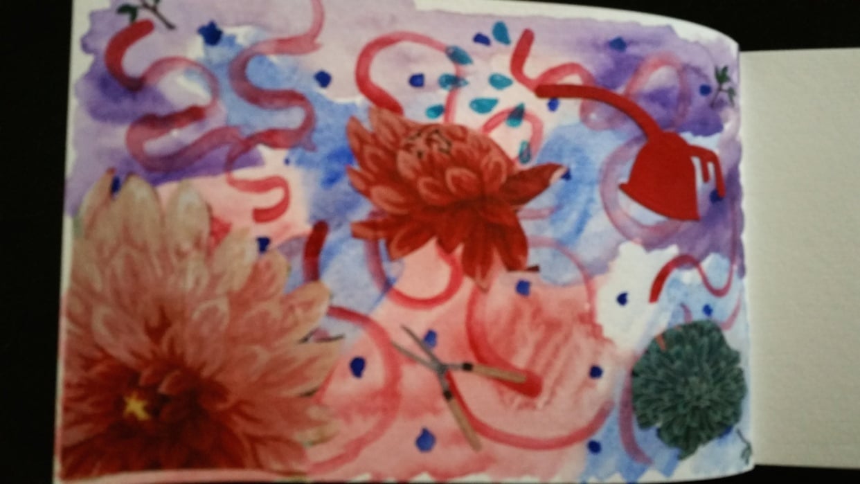 Backyard Zinnias - student project