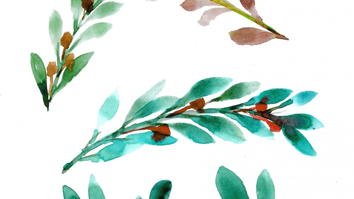 Olive Branch & Flowers - student project