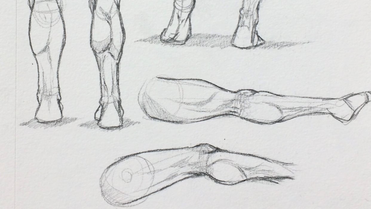 Figure Studies - student project