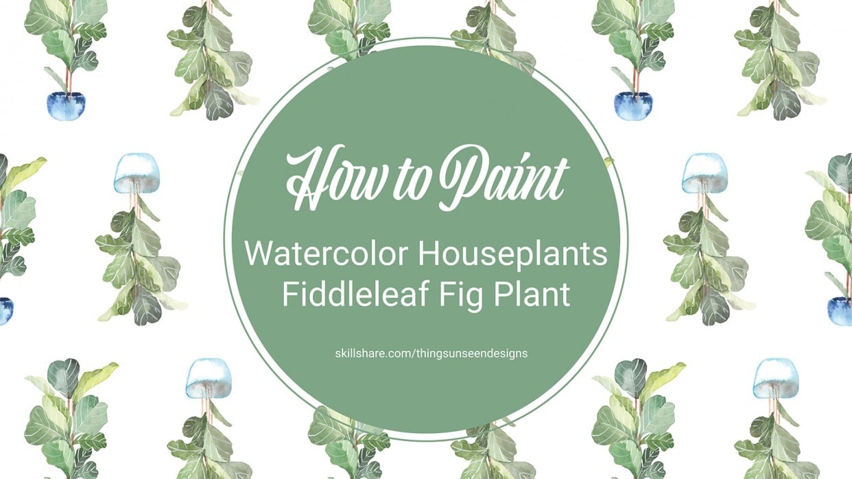 Fiddleleaf Fig Plant project - student project