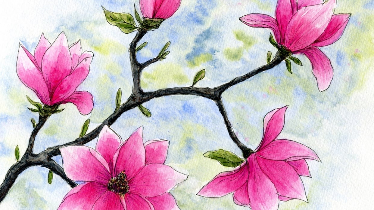 Magnolia - student project