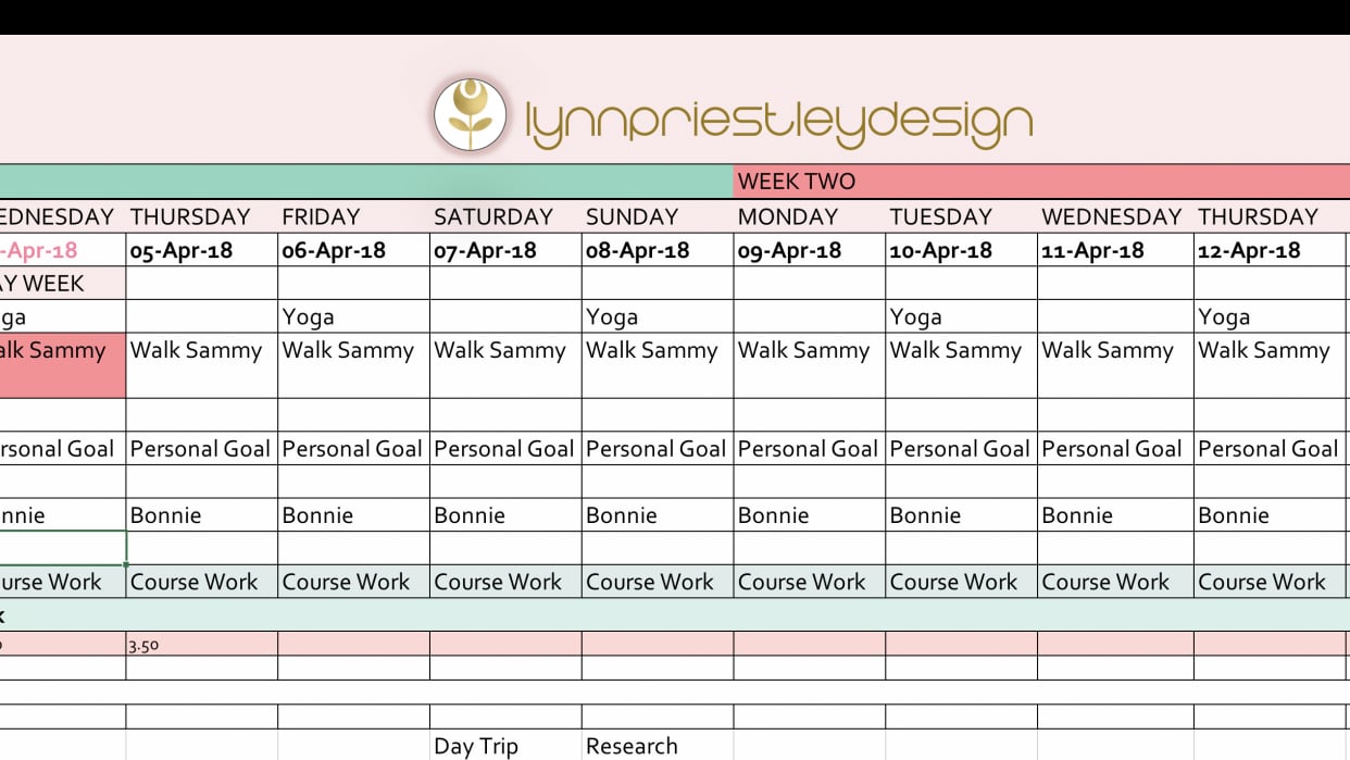 A snippet of my multi paged spreadsheet... - student project
