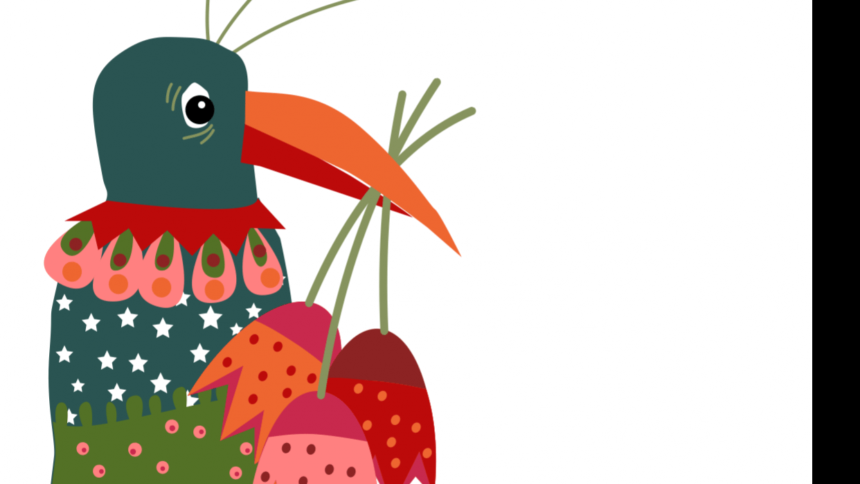 Bird wish - student project
