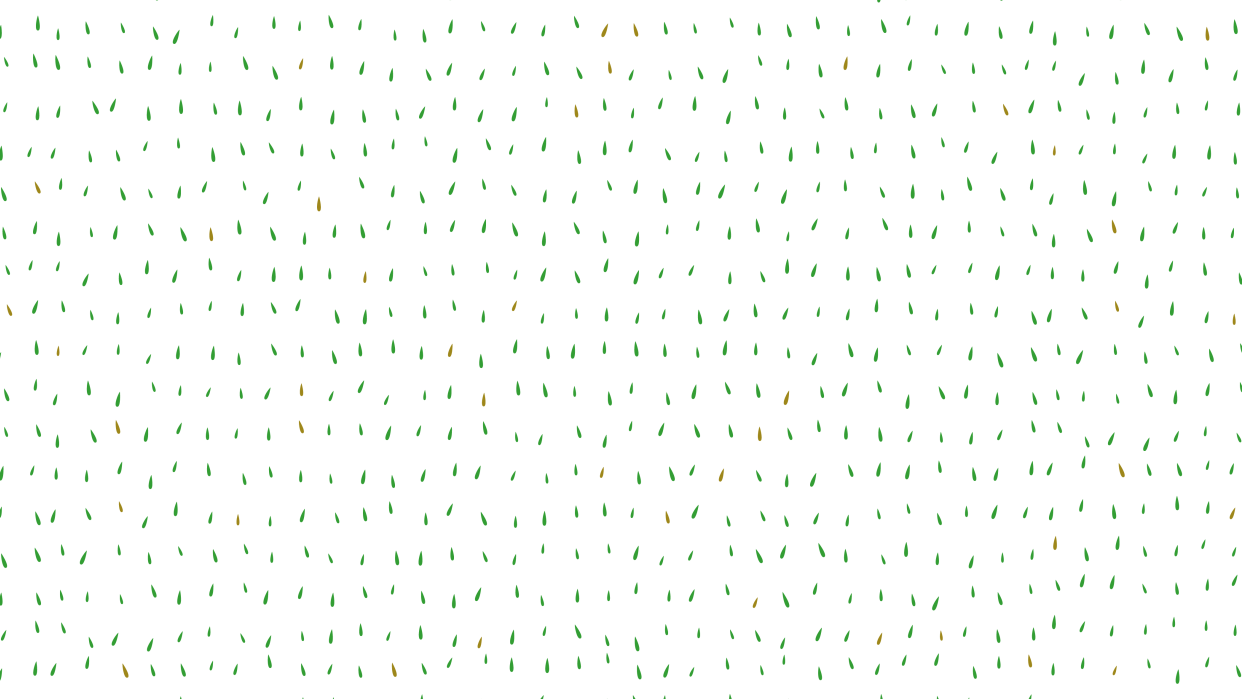 Teardrops Skillshare Student Project