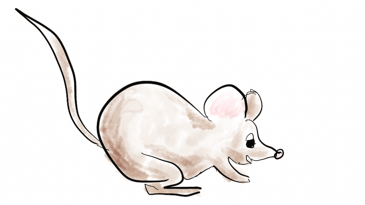 Cute Little Mouse - student project