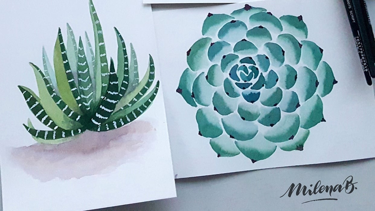 Lovely cacti & succulents - student project
