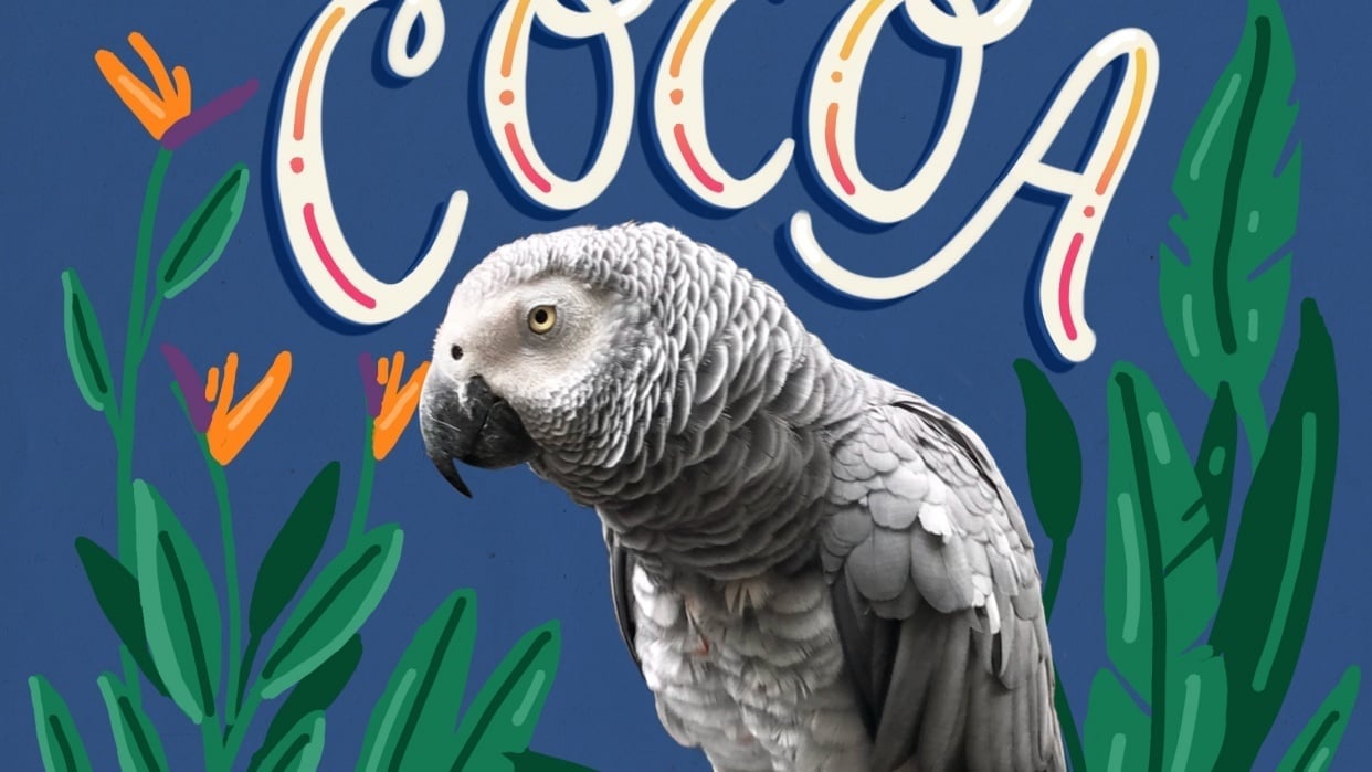 Cocoa the parrot v2 - student project