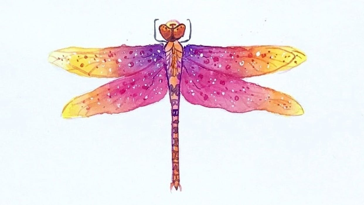 Vibrant Magical Dragonflies - student project