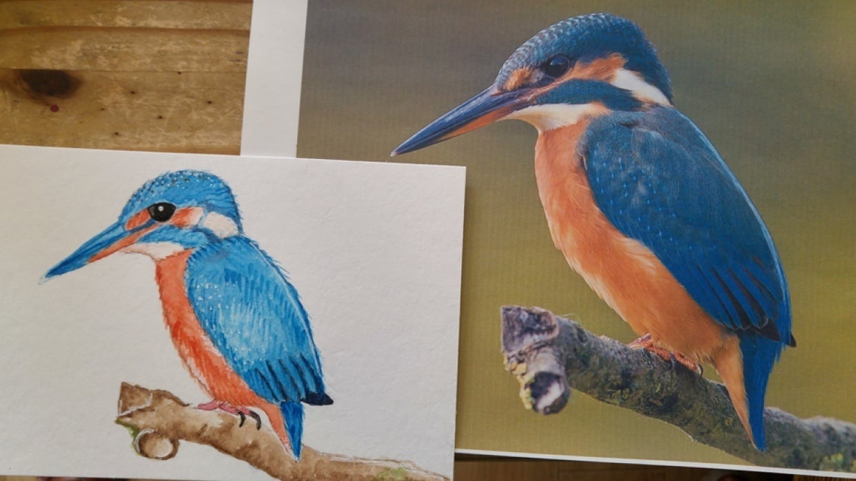 First attempt painting a bird from reference photo. - student project